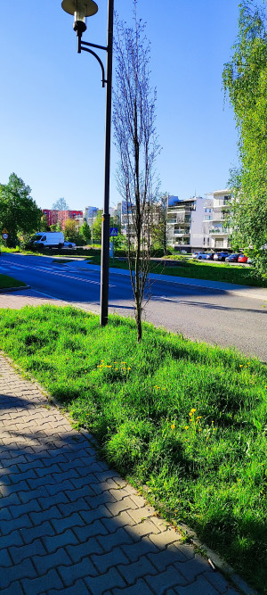 Zdjęcie 2 przedstawia problem zgłoszony w tym alercie