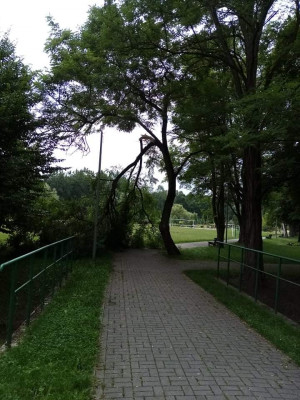 Zdjęcie 2 przedstawia problem zgłoszony w tym alercie