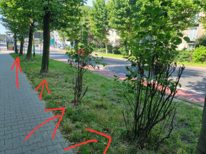 Zdjęcie 3 przedstawia problem zgłoszony w tym alercie