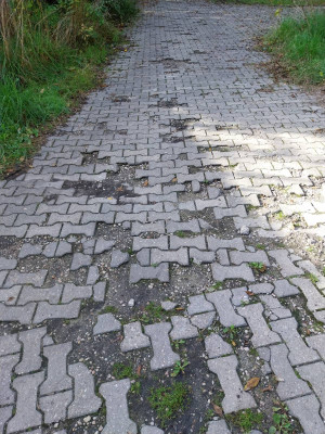 Zdjęcie 1 przedstawia problem zgłoszony w tym alercie