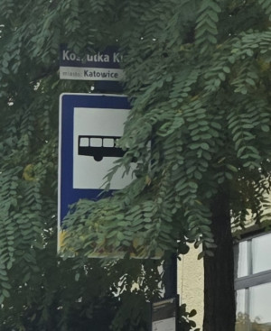 Zdjęcie 2 przedstawia problem zgłoszony w tym alercie