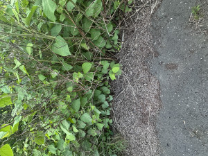 Zdjęcie 5 przedstawia problem zgłoszony w tym alercie