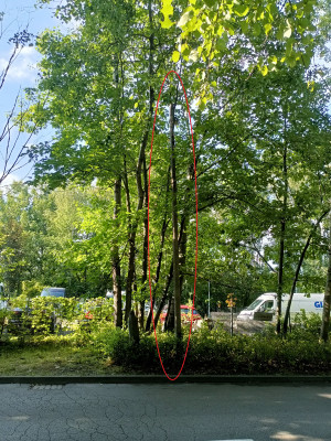 Zdjęcie 1 przedstawia problem zgłoszony w tym alercie