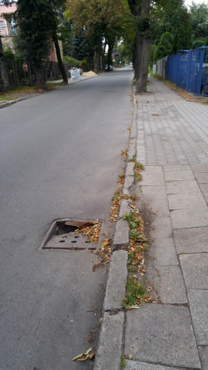 Zdjęcie 1 przedstawia problem zgłoszony w tym alercie