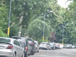 Zdjęcie 3 przedstawia problem zgłoszony w tym alercie