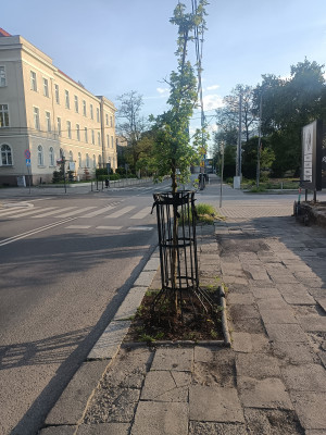 Zdjęcie 2 przedstawia problem zgłoszony w tym alercie