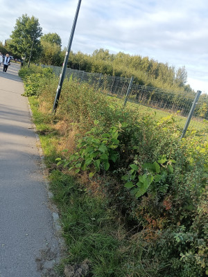 Zdjęcie 5 przedstawia problem zgłoszony w tym alercie