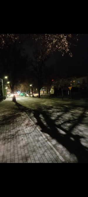 Zdjęcie 1 przedstawia problem zgłoszony w tym alercie
