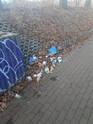 Zdjęcie 2 przedstawia problem zgłoszony w tym alercie