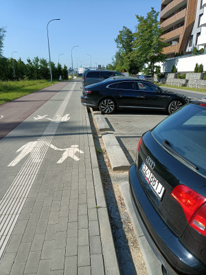 Zdjęcie 4 przedstawia problem zgłoszony w tym alercie
