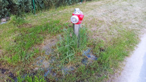 Zdjęcie 4 przedstawia problem zgłoszony w tym alercie