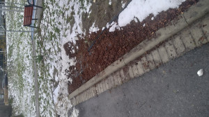 Zdjęcie 1 przedstawia problem zgłoszony w tym alercie