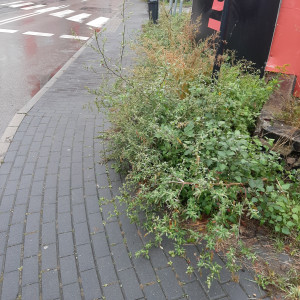 Zdjęcie 1 przedstawia problem zgłoszony w tym alercie