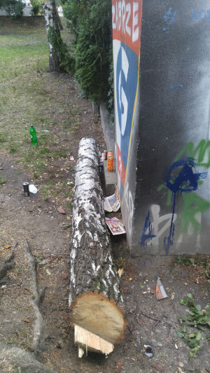 Zdjęcie 1 przedstawia problem zgłoszony w tym alercie