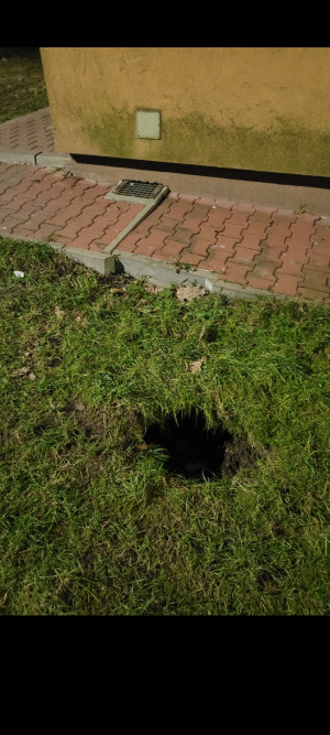 Zdjęcie 1 przedstawia problem zgłoszony w tym alercie