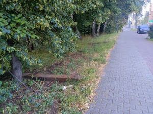 Zdjęcie 2 przedstawia problem zgłoszony w tym alercie