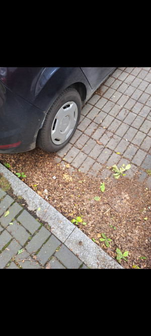 Zdjęcie 3 przedstawia problem zgłoszony w tym alercie