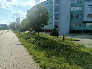 Zdjęcie 5 przedstawia problem zgłoszony w tym alercie