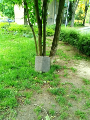 Zdjęcie 1 przedstawia problem zgłoszony w tym alercie