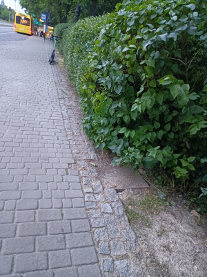Zdjęcie 2 przedstawia problem zgłoszony w tym alercie