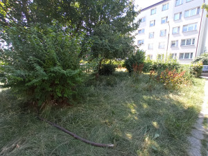 Zdjęcie 6 przedstawia problem zgłoszony w tym alercie