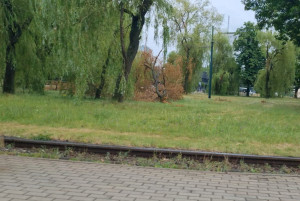Zdjęcie 4 przedstawia problem zgłoszony w tym alercie