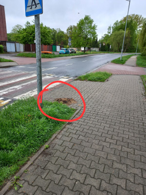 Zdjęcie 1 przedstawia problem zgłoszony w tym alercie