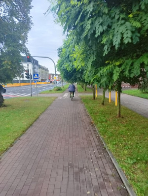 Zdjęcie 1 przedstawia problem zgłoszony w tym alercie