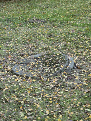 Zdjęcie 1 przedstawia problem zgłoszony w tym alercie