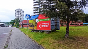 Zdjęcie 1 przedstawia problem zgłoszony w tym alercie