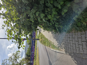 Zdjęcie 2 przedstawia problem zgłoszony w tym alercie