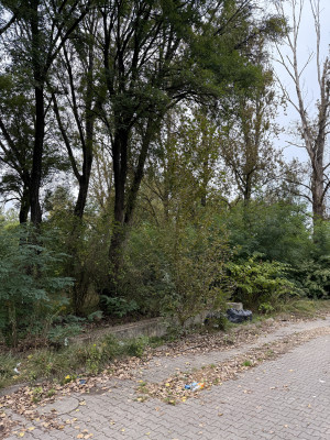 Zdjęcie 1 przedstawia problem zgłoszony w tym alercie