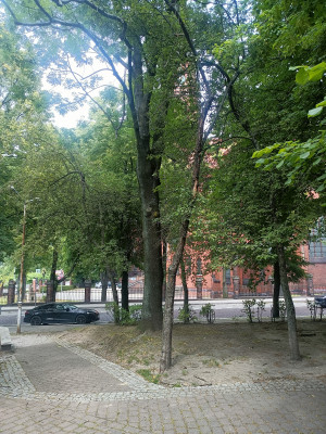 Zdjęcie 2 przedstawia problem zgłoszony w tym alercie