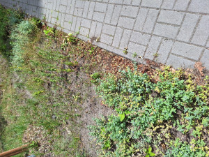 Zdjęcie 2 przedstawia problem zgłoszony w tym alercie