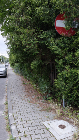 Zdjęcie 2 przedstawia problem zgłoszony w tym alercie
