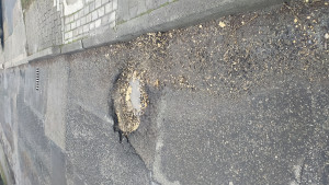 Zdjęcie 1 przedstawia problem zgłoszony w tym alercie