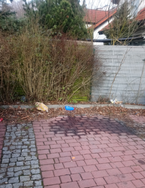 Zdjęcie 1 przedstawia problem zgłoszony w tym alercie