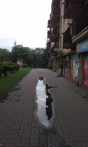 Zdjęcie 1 przedstawia problem zgłoszony w tym alercie