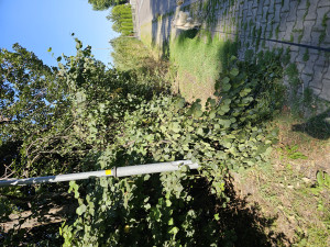 Zdjęcie 1 przedstawia problem zgłoszony w tym alercie