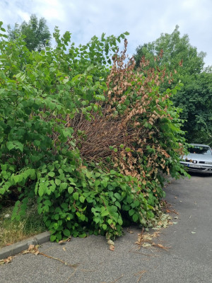 Zdjęcie 2 przedstawia problem zgłoszony w tym alercie