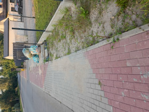 Zdjęcie 1 przedstawia problem zgłoszony w tym alercie