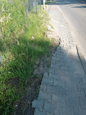 Zdjęcie 3 przedstawia problem zgłoszony w tym alercie