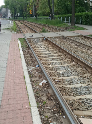 Zdjęcie 3 przedstawia problem zgłoszony w tym alercie