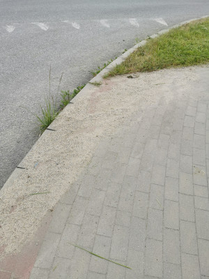 Zdjęcie 1 przedstawia problem zgłoszony w tym alercie