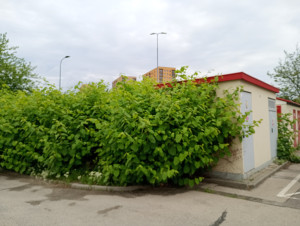Zdjęcie 1 przedstawia problem zgłoszony w tym alercie