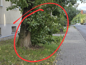 Zdjęcie 2 przedstawia problem zgłoszony w tym alercie