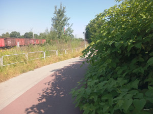 Zdjęcie 1 przedstawia problem zgłoszony w tym alercie