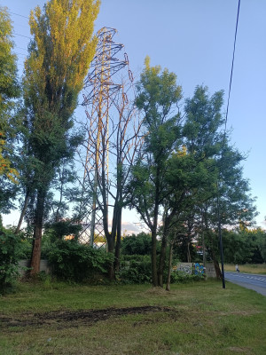 Zdjęcie 1 przedstawia problem zgłoszony w tym alercie