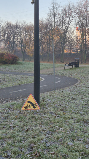 Zdjęcie 1 przedstawia problem zgłoszony w tym alercie