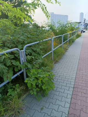 Zdjęcie 3 przedstawia problem zgłoszony w tym alercie